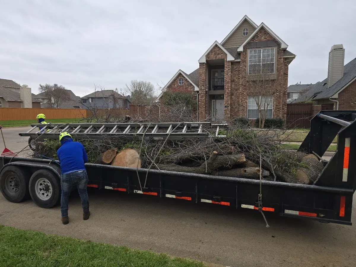 Expert Deadwooding with proper safety equipment in Reynoldsburg